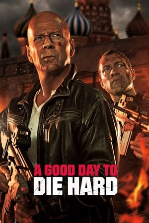 A Good Day to Die Hard (2013) Hindi Dual Audio 480p BluRay 300MB