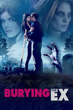 Burying the Ex 2014 Hindi (HQ Dubbed) 480p HDRip 450MB