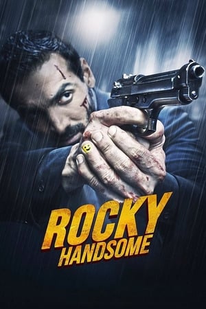 Rocky Handsome (2016) Hindi Movie BluRay 720p Hevc [650MB]