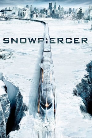 Snowpiercer (2013) Hindi Dual Audio 480p BluRay 350MB