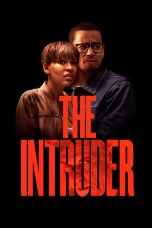 The Intruder (2019) Hindi Dual Audio 480p Web-DL 300MB
