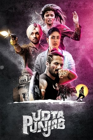 Udta Punjab (2016) Hindi Movie 480p BluRay - [340MB]